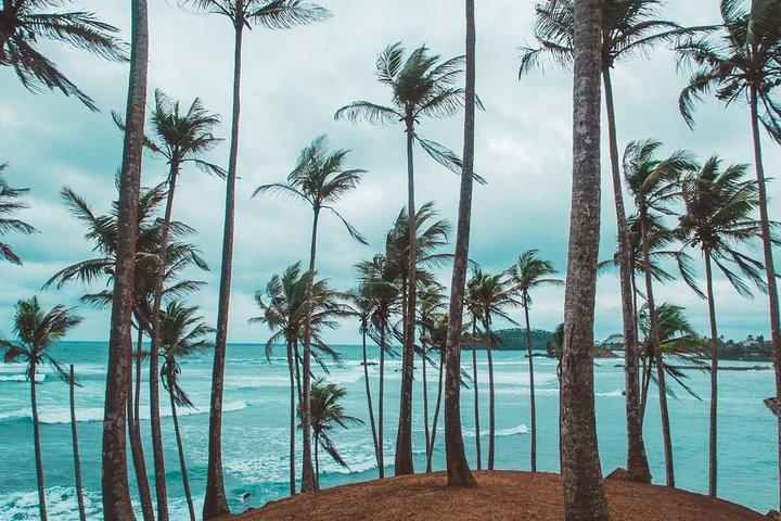 Coconut Tree Hill, Mirissa, Srilanka